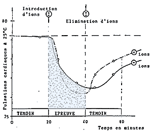 ionisation négative