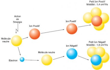 Are all negative ions the same ? - Ions négatifs